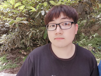 王露豪